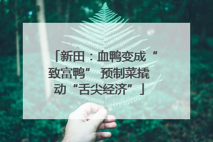 新田：血鸭变成“致富鸭” 预制菜撬动“舌尖经济”